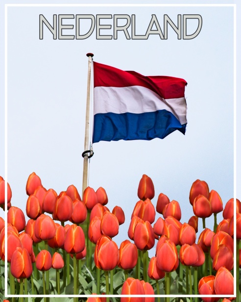 ASPON Welzijn Nederland Verbetering van de Kwaliteit van Leven