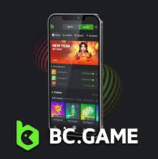 Understanding KYC and AML for BC Game's Success