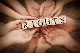 Advocating for Justice The Role of Legal Teams in Human Rights Protection