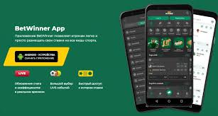 BetWinner Gambling Platform Your Gateway to Online Betting