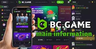 Explore the Exciting Features of BC.Game NG Mobile App