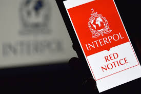 Understanding the Role of Interpol Lawyers in International Law 1332489895