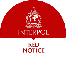 Understanding the Role of Interpol Lawyers in International Law Enforcement 1338715723 Understanding the Role of Interpol Lawyers in International Law Enforcement 1338715723