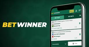 Experience Betting Anywhere with the BetWinner Mobile App