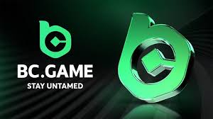 Step-by-Step Guide to the BC.Game Registration Process -611692542